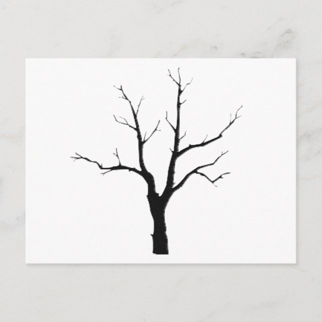 Winter Tree Black and White Set Postcard (Front)