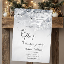 Winter Tree Branches Snow Wedding