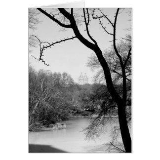 Winter Tree - Central Park NYC