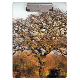 WINTER TREE CLIPBOARD