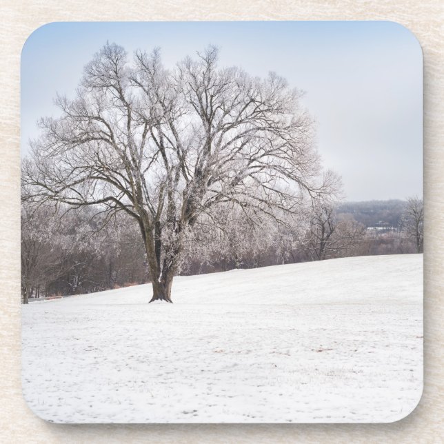 Winter Tree Coaster (Front)