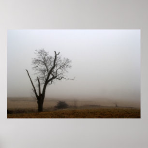 Winter Tree Foggy Meadow Poster