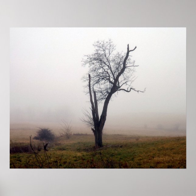Winter Tree in Foggy Meadow #2 Poster (Front)