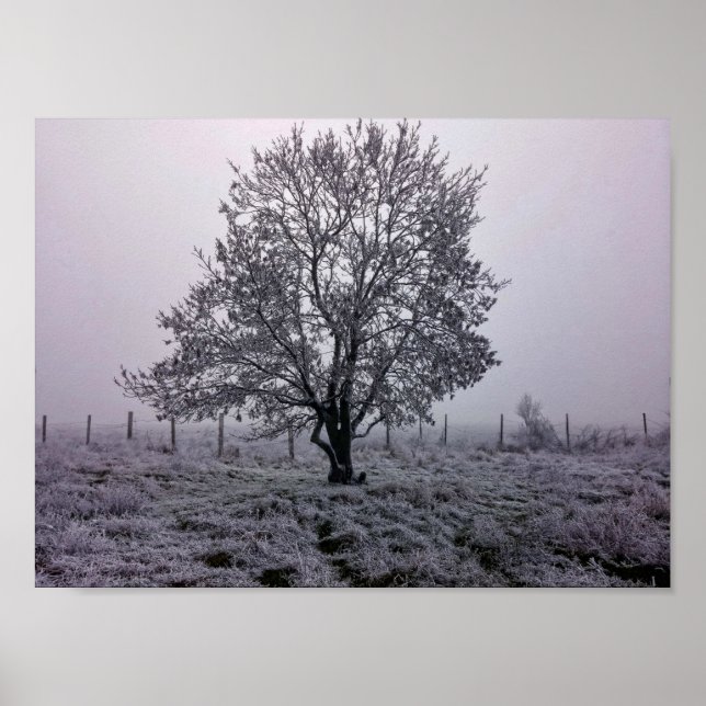 Winter Tree Landscape Poster (Front)