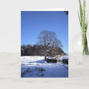Winter Tree Lyme Park Holiday Card