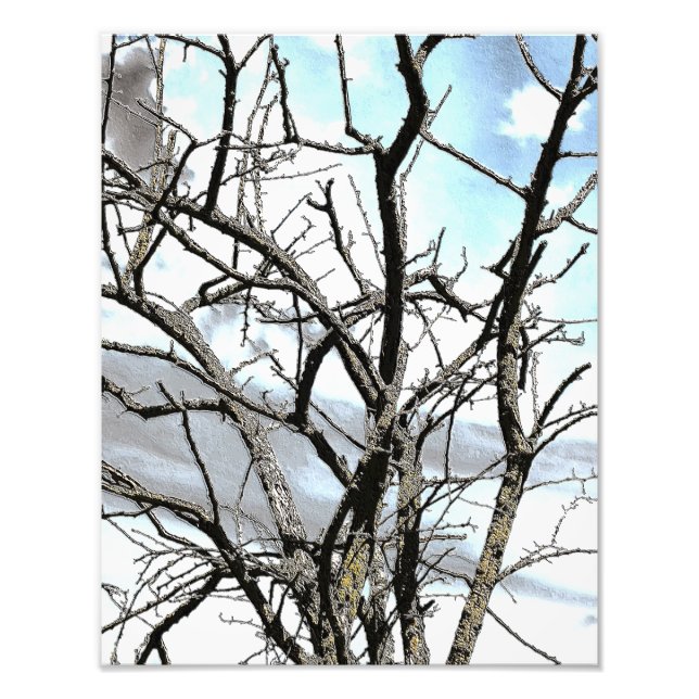 WINTER TREE PHOTO PRINT (Front)
