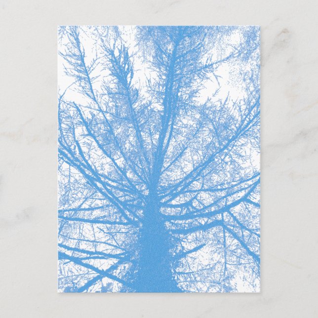 WINTER TREE POSTCARD (Front)