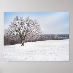 Winter Tree Poster