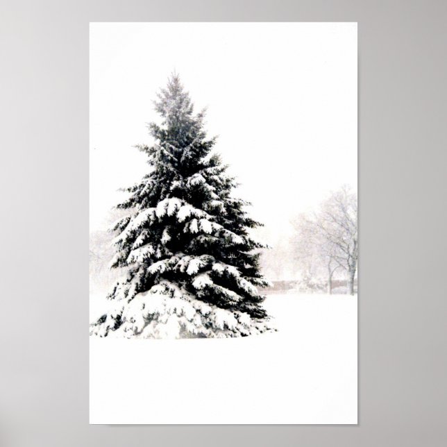 Winter Tree Poster (Front)