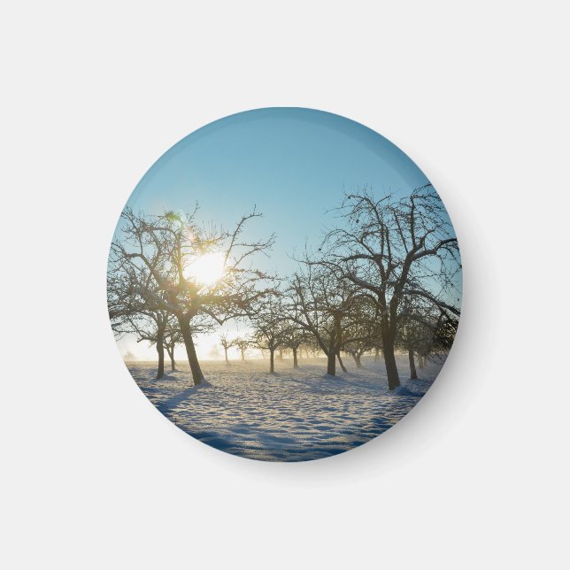 Winter Tree `s by sunrise    -     - Magnet (Front)