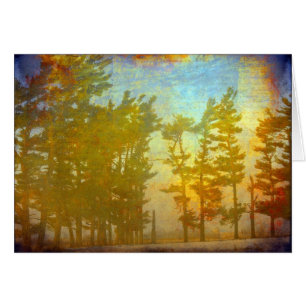 Winter Trees