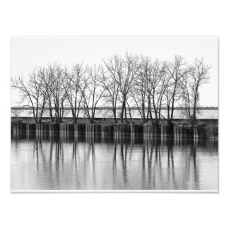 Winter Trees by the Water, B&W Photo Print