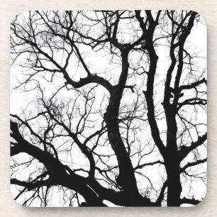 winter trees coaster black and white photography