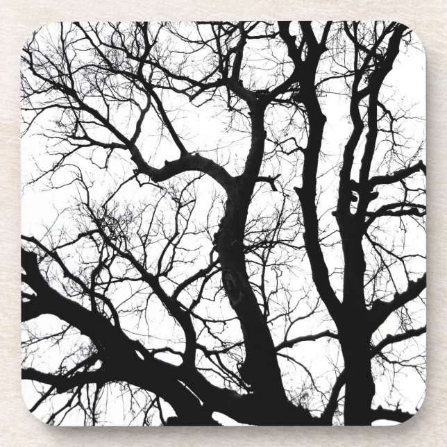 winter trees coaster black and white photography (Front)