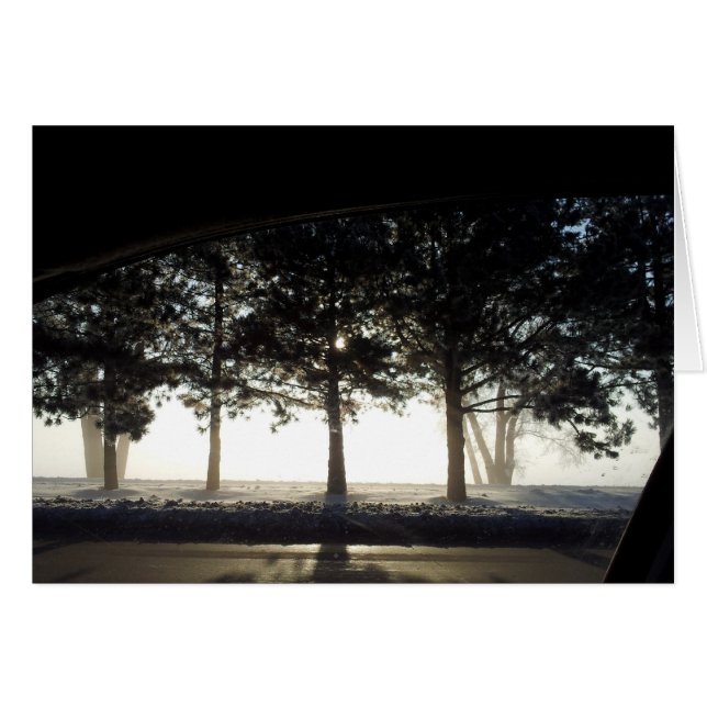 Winter Trees From Car (Front Horizontal)