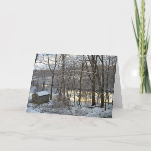 Winter trees greeting card
