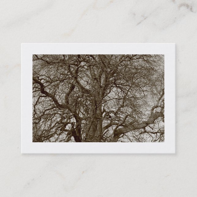 Winter Trees in Early Spring - Sepia (Bordered) Business Card (Front)