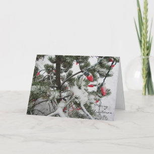 Winter Trees Laden With Snow Holiday Card