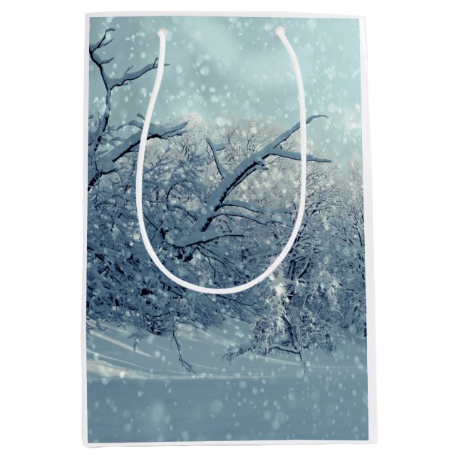 Winter Trees Landscape Medium Gift Bag (Front)