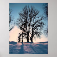 Winter trees on twilight blue sky background