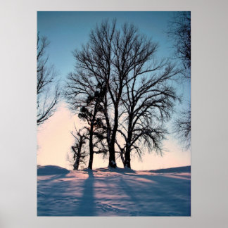 Winter trees on twilight blue sky background poster