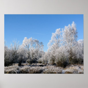 WINTER TREES POSTER