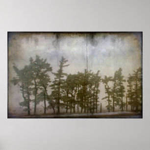 Winter Trees Poster