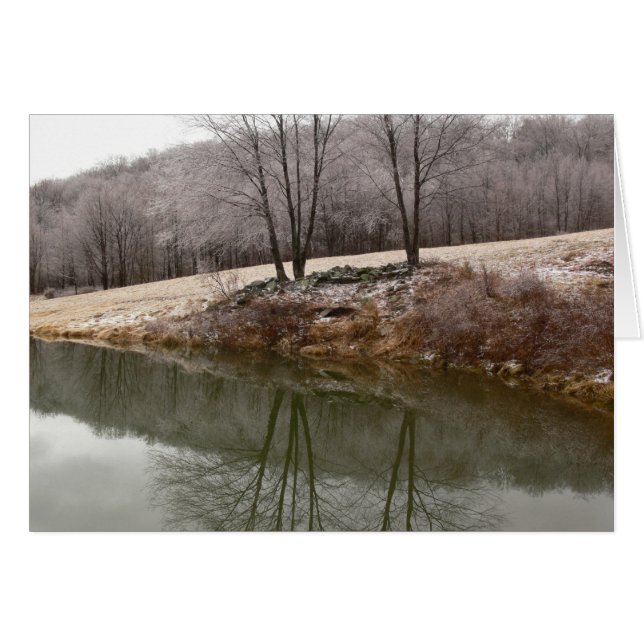 Winter Trees Reflected (Front Horizontal)