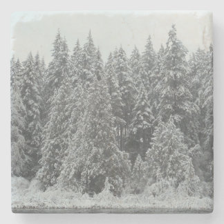 Winter Trees Stone Coaster