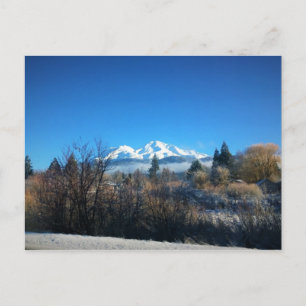 Winter View at Mount Shasta, CA Postcard