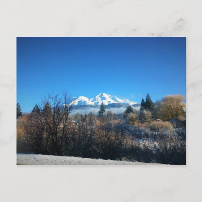 Winter View at Mount Shasta, CA Postcard (Front)