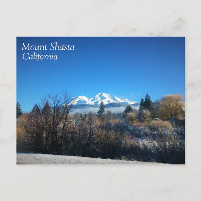 Winter View at Mount Shasta, CA Postcard (Front)