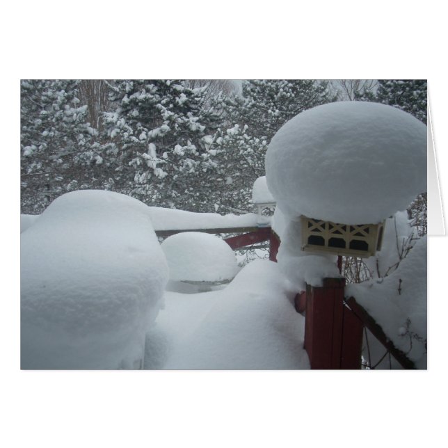 Winter View from the Porch (Front Horizontal)