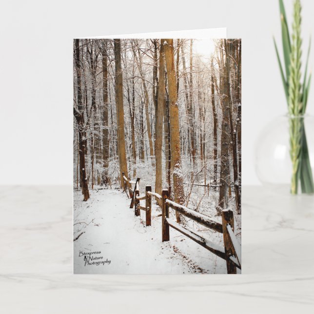 Winter Walk (5.0) Holiday Card (Front)