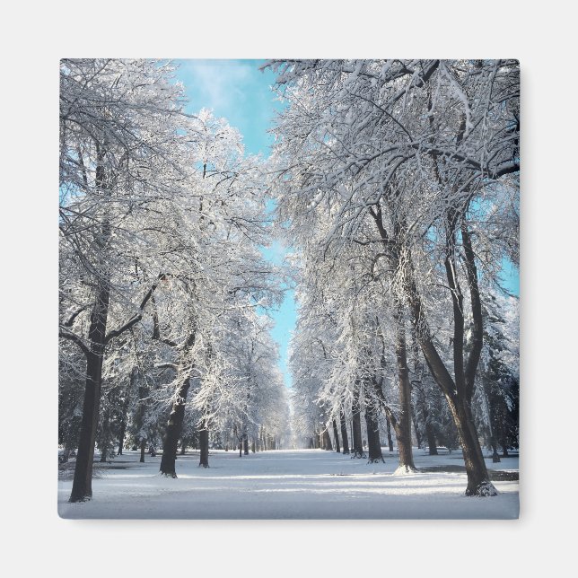 winter walk in the park magnet (Front)
