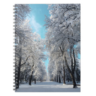 winter walk in the park notebook