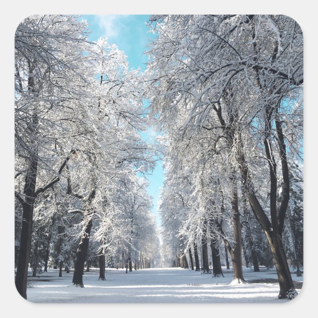 winter walk in the park square sticker (Front)