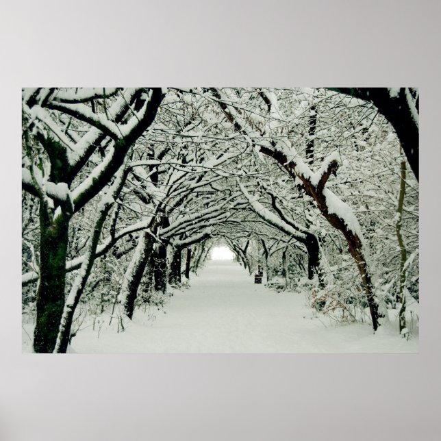 Winter Walk Poster (Front)