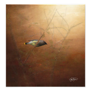 Winter Waxwing Photographic Art - Frame It! Photo Print
