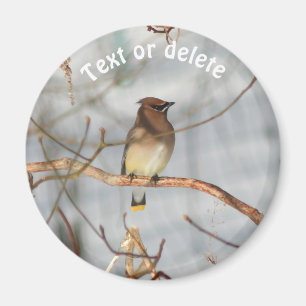 Winter Waxwing Wildlife Nature Personalized Magnet