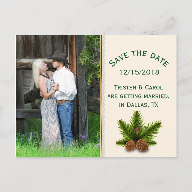 Winter Wedding Pine Cones Save the Date Postcard (Front)