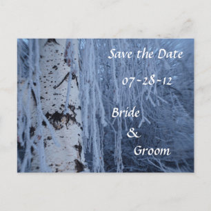 Winter Weeping Birch Wedding Postcards