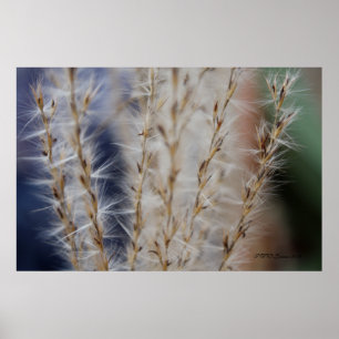 Winter Wheat 2 Poster