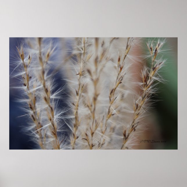 Winter Wheat 2 Poster (Front)