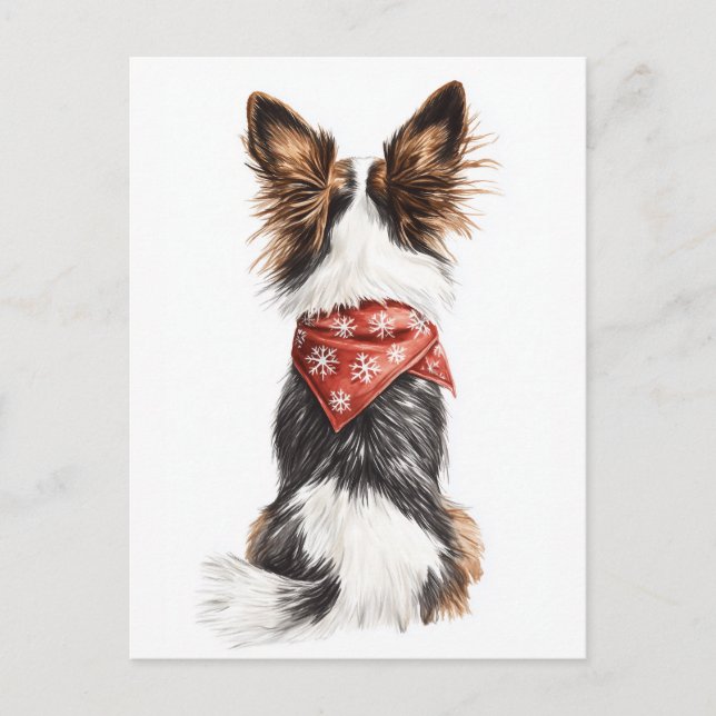 Winter Whiskers Postcard (Front)