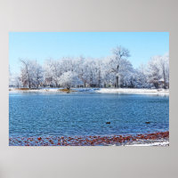 "WINTER WHITE" OLANDER PARK AND LAKE/SNOW-COVERED