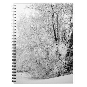 Winter Whites Notebook