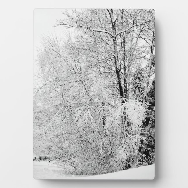 Winter Whites Plaque (Front)