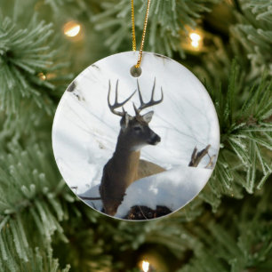 Winter Whitetail Deer Ornament