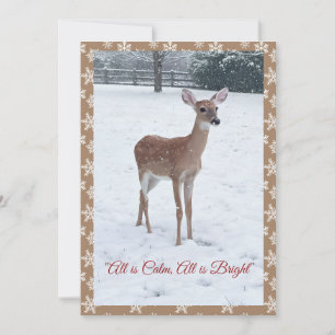 Winter Wildlife Fawn Snow Scene  Holiday Card